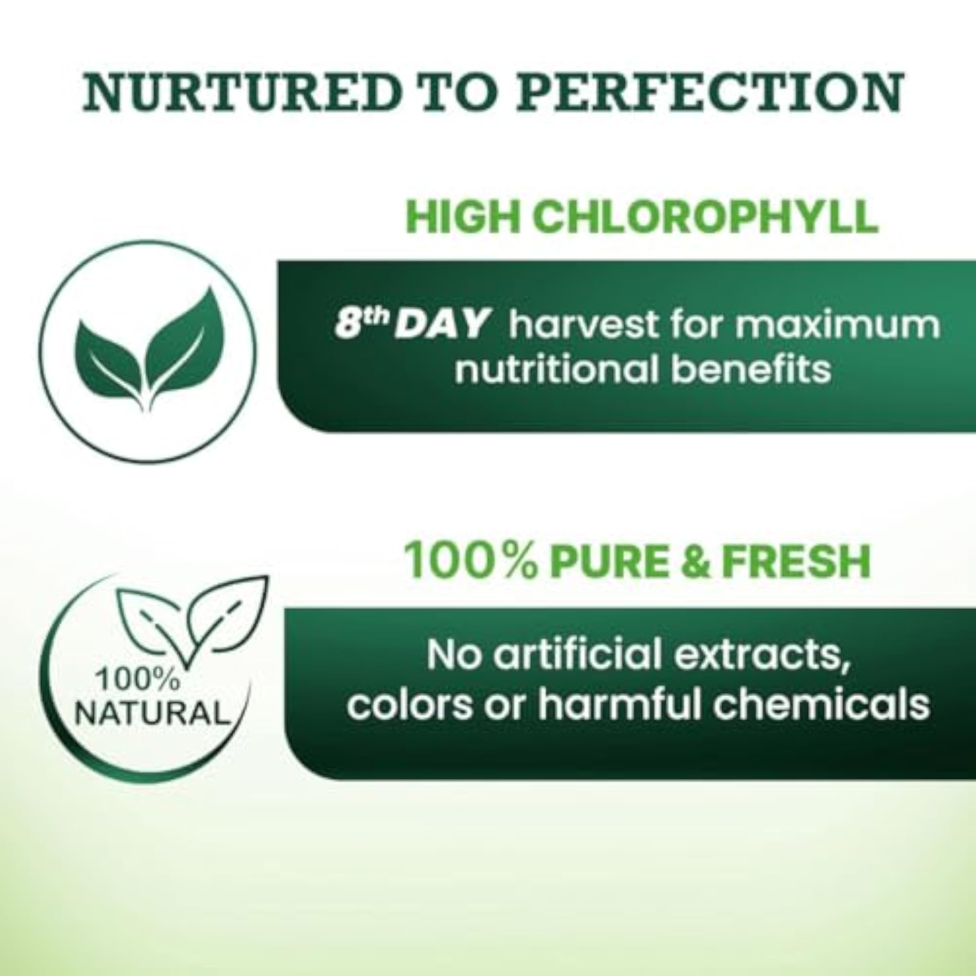 Wheatgrass Juice 500 ml