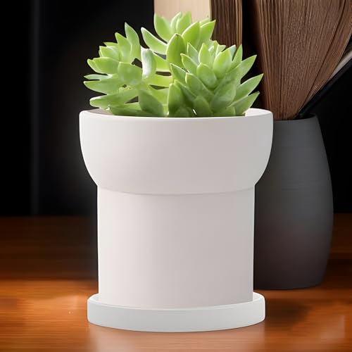 Pots décoratifs pour utilisation intérieure et extérieure de vos cactus - 4