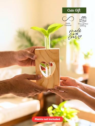 Image of Bombay Greens Planter with Heart Decor | Test Tube Indoor Planter Stand | Wooden Planter for Home Decor, Living Room, Balcony & Office Decoration