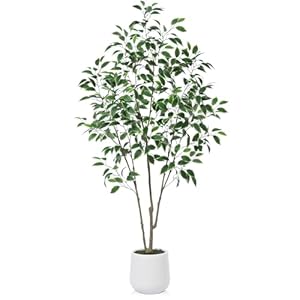 Artificial Ficus Tree, 6FT Fake Silk Ficus Plant with Planter, Indoor Faux Ficus Trees Covered Lifelike Green Moss Floor Plants for Home Office Living Room Decor and Housewarming Gifts Artificial Ficus Tree 6FT Fake Silk Ficus Plant with Planter Indoor Faux Ficus Trees Covered Lifelike Green Moss Floor Plants for Home Office Living Room Decor and Housewarming Gifts