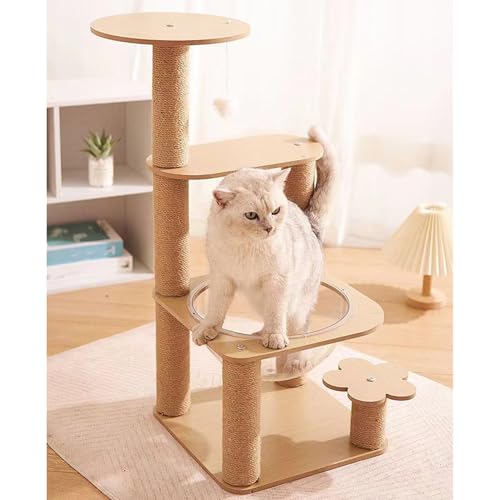 X Lbg^[   RpNg VjAL ^L 芴 Ⴂ J[2 ]|h~fUC W] Lxbh ^s ȃXy[X ܂Ƃ|[ Vя 36.5cm L^[ R[i[ ˂