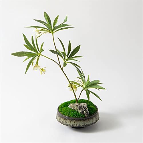 Fausses plantes sans entretien bonsai artificiel durable