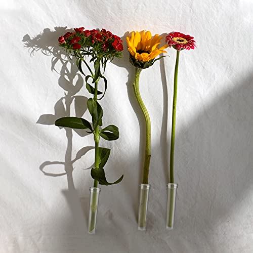 AIEX 48pcs Floral Water Tubes Reusable Plastic Flower Tubes with Silicone Cap for Flowers Plants 7.2x1.8cm/2.8x0.7inch(White Clear) image 7