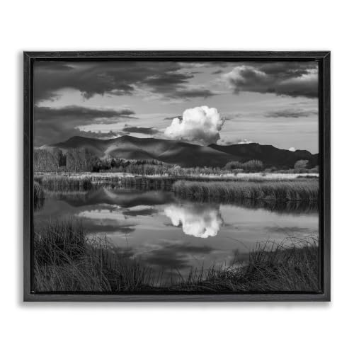 'Puffy Cloud Over Mountain Grassy Marsh'| Floating Frame Canvas Art