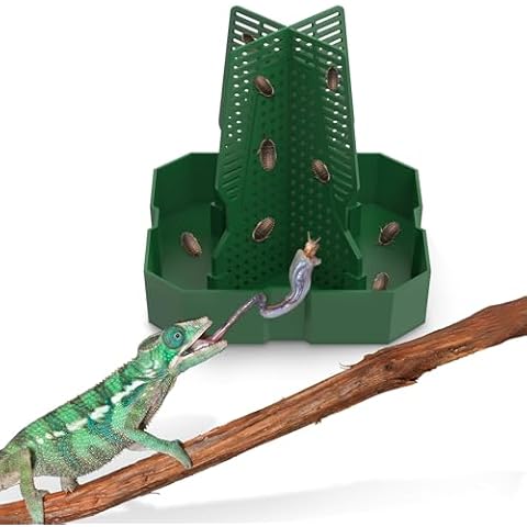 Fischuel Chameleon Feeding Bowl for Reptile Terrarium, Climbable Design for Reptile to Hunt, Suitable for Feeding Lizards, Bearded Dragons, Geckos, Guardians, Frogs, Green, Small Cover