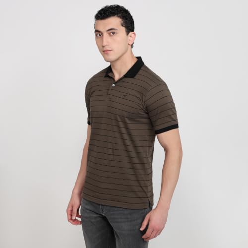 Image of Park Avenue Men Slim Fit Stripe Pattern Pure Cotton Polo Neck Half Sleeve Casual T-Shirt