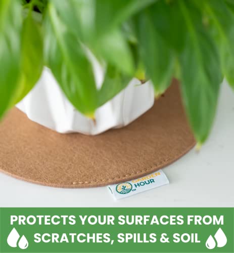 Garden Hour Large Felt Coasters For House Plants. 14 In, 12, 10, 8, 6 Inch Round Felt Pad Plant Mat For Indoor Plants. 10 Absorbent Coasters Multi Size Surface Savers For Potted Plants Plant Saucer #TOP3