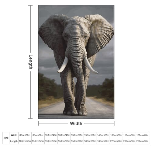 Couverture éléphant anti-froid en flanelle douce et légère pour lit - 3