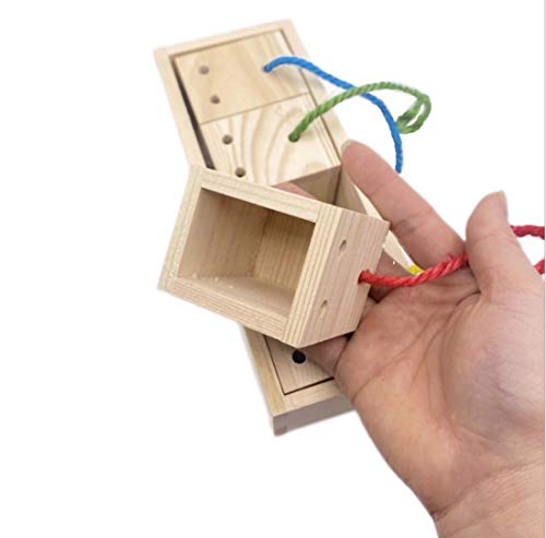 DUJIAOSHOU Houten vogelspeelgoed, speelgoed pedagogische training creatief blok gekleurd intelligent speelgoed voor… - Afbeelding 7