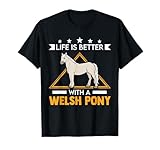 Questo motivo Life is better with a Welsh Pony è perfetto per chiunque stia cavalcando una pannocchia gallese.