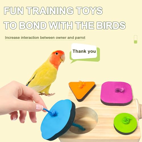 Image of Wooden Parakeet Toys,Bird Foraging Toys,Bird Training Interactive Toys,Parrot Intelligence Toy,Bird Perches Stand,Bird Cage Accessories for Parrots for Medium /Small Size, Parrot.