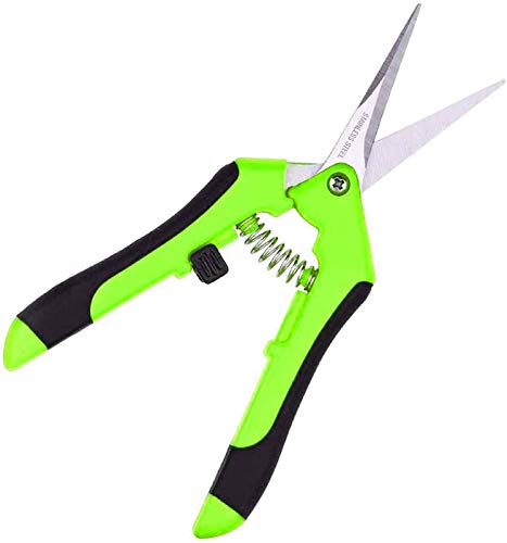 KOTAPRO Garden Pruning Shears, Professional Hand Pruner, Trimming Scissors, Straight Stainless Steel Blades, 6.5 Inch Gardening Scissors (1 Pack, Green)