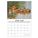 Robuste et pratique : fabriqué avec du papier de haute qualité adapté pour les stylos, crayons ou marqueurs, assurant que les notes restent visibles, les pages restent plates, et le calendrier résiste à une utilisation régulière tout au long de l'année