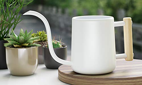 Indoor Watering Can With Long Spout - 35Oz White Watering Can For Indoor Plants - Cute Watering Can Indoor - Small Watering Can For Indoor Plants - Indoor Plant Watering Can - Houseplant Watering Can #TOP4