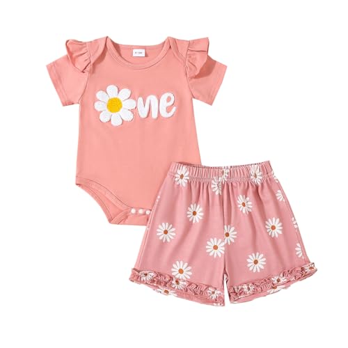 Infant Baby Girl Birthday Outfit Daisy Theme 1-2 Years Old