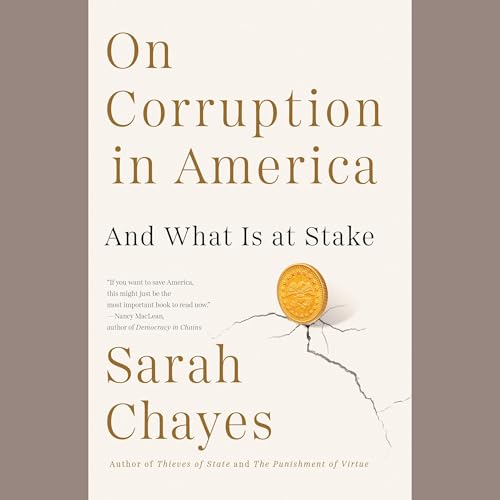 On Corruption in America by Sarah Chayes episode artwork