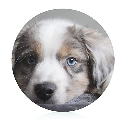 Planche à découper chiot mignon en plastique compact de cuisine 20 cm - 2