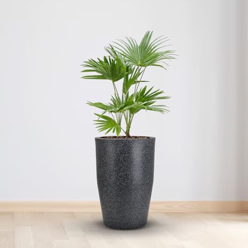 Image of BonKaso 18 inch Dark Grey Pot - Tall, Durable & Lightweight Polymer Round Tower Planter for Indoor & Outdoor Use: Home, Office, Garden & Balcony (Gamla /Gamale)