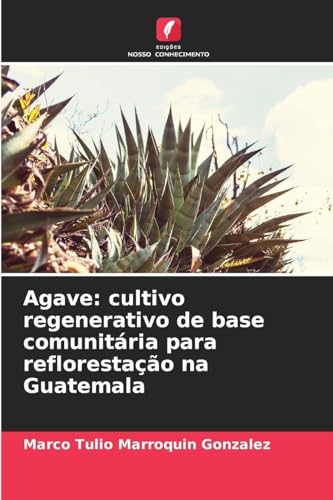 Agave: cultivo regenerativo de base comunitária para reflorestação na Guatemala