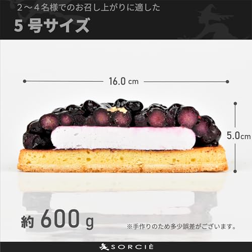 魔法洋菓子店ソルシエ クリスマスケーキ ブルーベリータルト 5号 の商品画像 2
