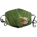 Filtration: Doppelschichtiges Material mit individuellem Aussehen.