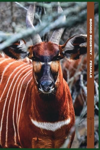 Bongo Registry Female registre haut de gamme couverture rigide - 2