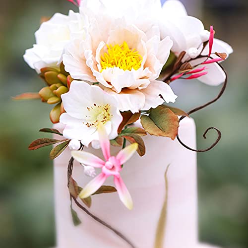 Cinvo 22 Gauge Stem Wire 100 Counts Floral Paper Wrapped Wire 14 Inch Wire For Flower Arrangements Diy Bouquet Handcrafts Wood Flowers (Dark Brown) #TOP5