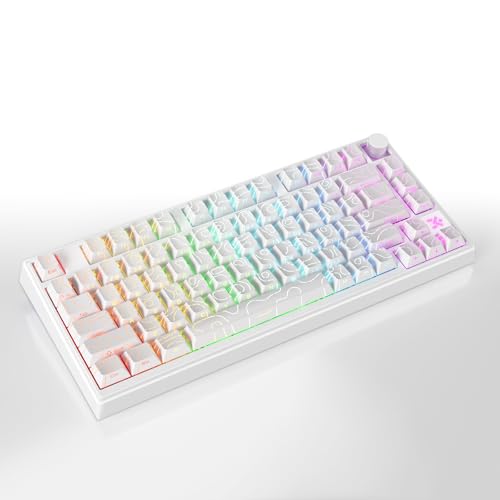 Clavier magnétique Glacier Skyloong HE75 pour un bureau épuré - 3