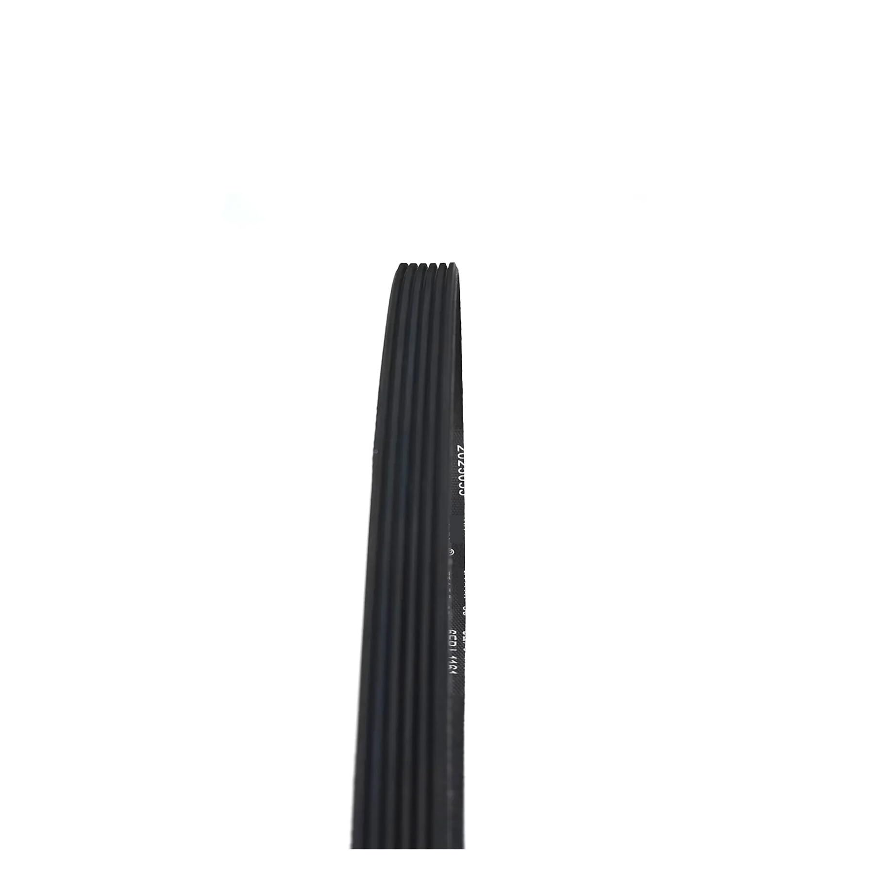 Set da 2 Cinghia per lavatrice, Compatibile con Hisense, 6EPJ1161 2025055