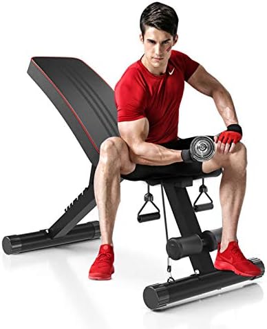 Dripex Weight Bench Foldable- Adjustable Incline/Decline/Flat Bench Press with 6 Backrest & 3 Seat Positions, Workout Bench for Home Gym (Grey)