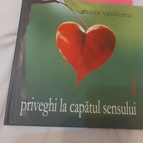 Ep.287. Priveghi la capatul sensului, autor Maria Vasilescu copertina