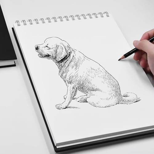 STATIONERY ISLAND Skizzenbuch A4 200 g/m² Zeichenblock 100 Seiten (50 Blatt) Spiralgebundenes Skizzenblock Zeichenpapier Zeichnungen, Skizzen für Künstler und Profis