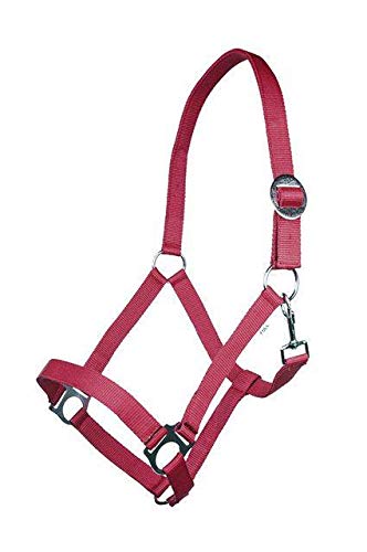 Funda Aqua Vollblut HKM Stars para caballo 3