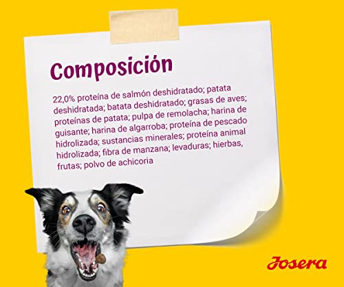 Josera - Hundefutter - 900 g - Mini Senior - Lachs - Senior Haustiere mit Kleiner Größe - Getreidefrei - Vitalität - Zahnhilfe
