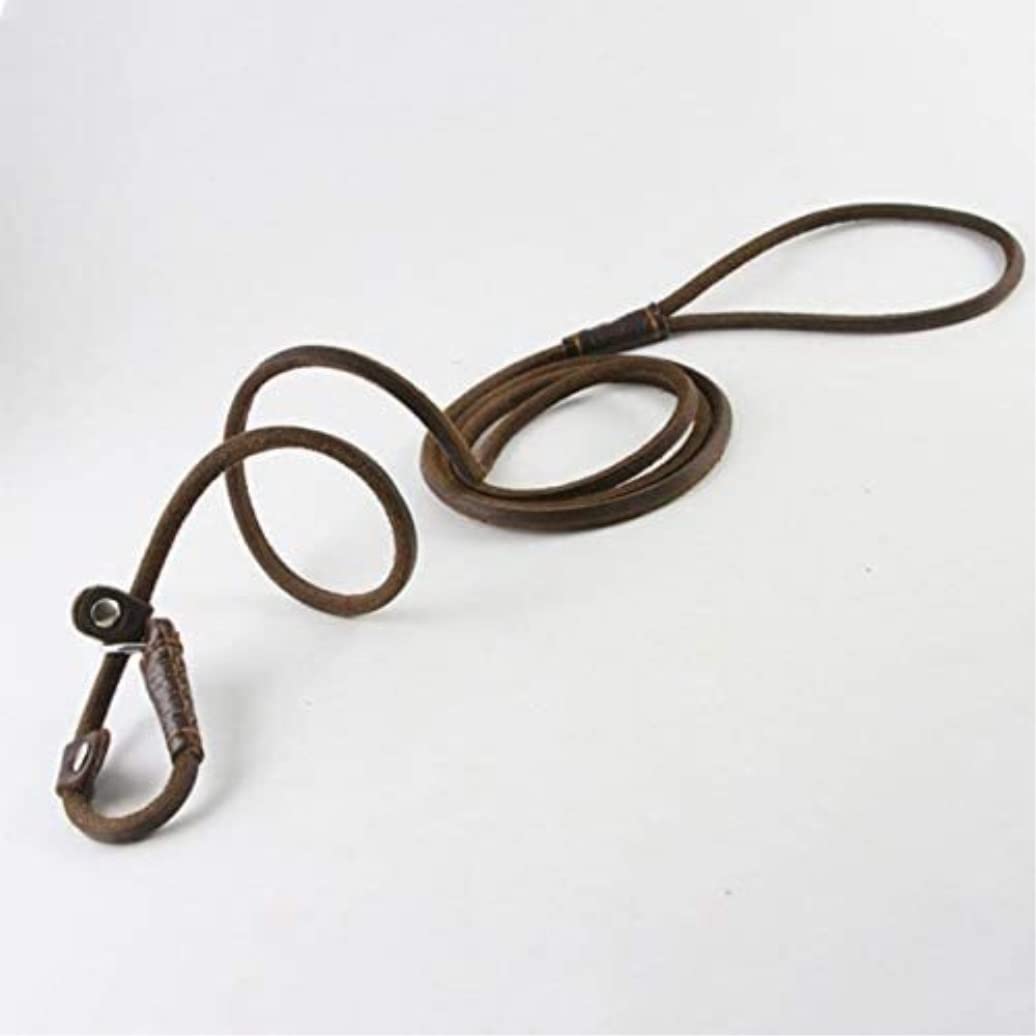 Correa Perro Correr Correa de Cadena para Perro, Collar Deslizante para Mascotas, Correas para Caminar, Cuerda Cuero Genuino para Perros, tracción para Cachorros Antideslizantes Reforzada