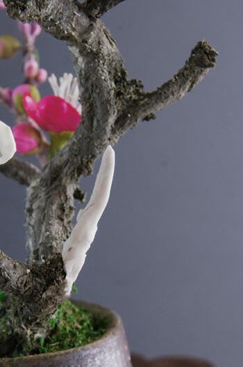 神舎利松の盆栽（アート盆栽／bonsai） | 本物そっくり造花専門店