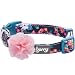 Blueberry Pet 5 Patterns Spring Made Well Elegant Floral Print Dog Collar in Sleek Black with Detachable Pink Flower Accessory, Small, Neck 12"-16", Adjustable Collars for Dogs