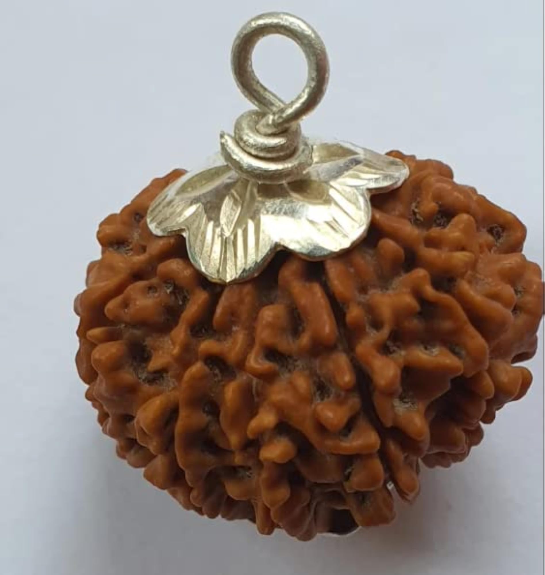 Nau Mukhi Rudraksha with Capping, Pure Nepal Brown Bead