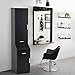 BarberPub Wall Mount Classic Barber Station with 3 Hair Dryer Holders, Hair Stylist Salon Storage Cabinet, Beauty Spa Tool Organizer Equipment 3207 (Black)