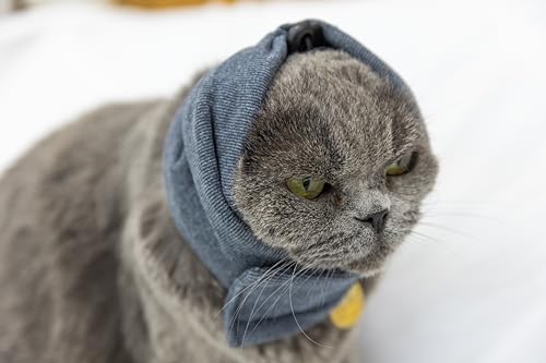 Image of Cat Hematoma Ear Wrap,Keep Calm Comfort Anti Anxiety&Stress Relief - Snood for Cat Surgery Recovery Grey S