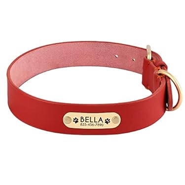 AMAZON - Forestpaw Durable Leather Dog Collars with Engraved Nameplate,Customized Classic Fashionable Pet Collars Adjustable for Small Medium Large Dogs,S Red