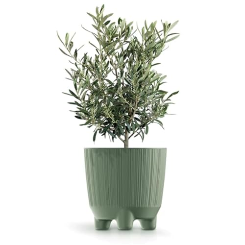 B2C Plant Pots Indoor Outdoor Plastic Flowerpot Small Medium Large RYFO 6 Colours (Earth green, 11cm)