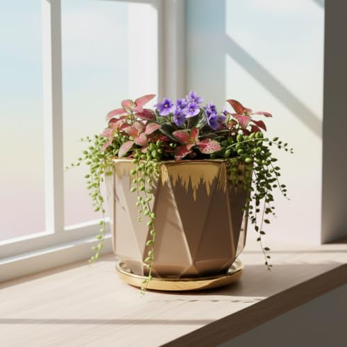 Image of Xtore Elegant Faceted Ceramic Planter with Metallic Rim & Drain Tray | Contemporary Decorative Pot for Living Room, Desk & Balcony Styling (Pack of 1, Planter only)