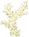 Deep Blue Professional ADB80043 Branch Coral for Aquarium, 5.5 by 3 by 6.5-Inch