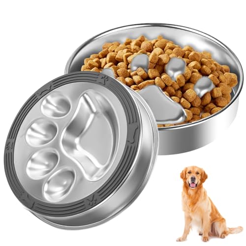 Gamelle anti-glouton pour chien en acier inoxydable 304 - Diamètre : 22 cm - En acier inoxydable - Avec tapis en silicone antidérapant - Pour chiens de...