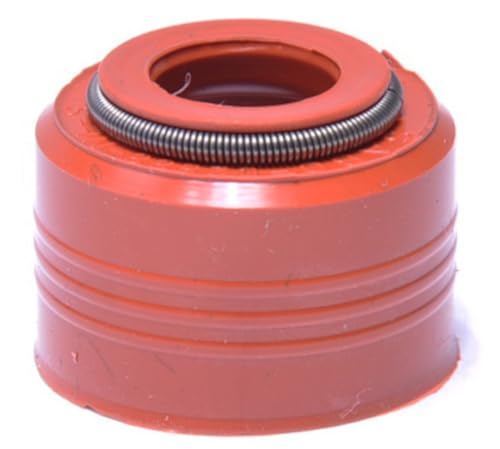 LowPricedAutoParts Valve Stem Seals (20 Count) | Umbrella | 3/8