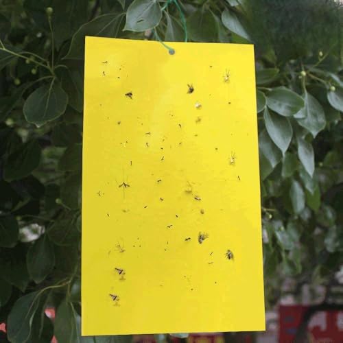 Trapro Yellow Dual-Sided Sticky Fly Traps for Plant Insect Like...