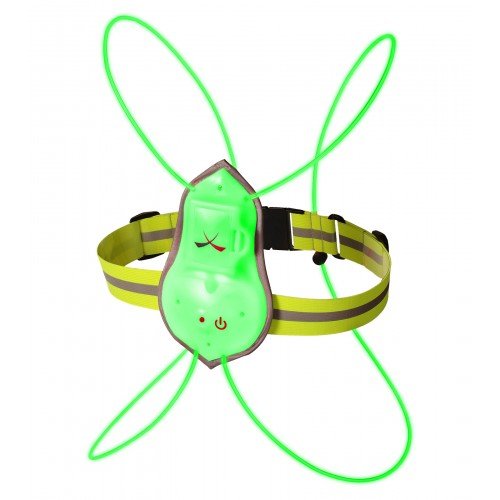 y{K㗝XzTracer360 X|[c p LED ˃xXg iCg  tN^[ jO led EH[LO TCNO h S yʁiSj