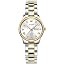 5563|white Dial/Gold|silver Strap