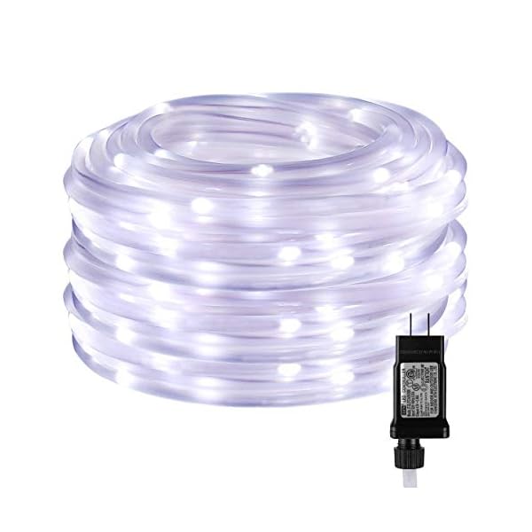 Lighting ever 33 ft 100 led outdoor rope lights cool white 6000k, 1/4 in pencil-size, flexible waterproof tube string lights for deck railing, patio ground, garden yard lawn, fence, balcony